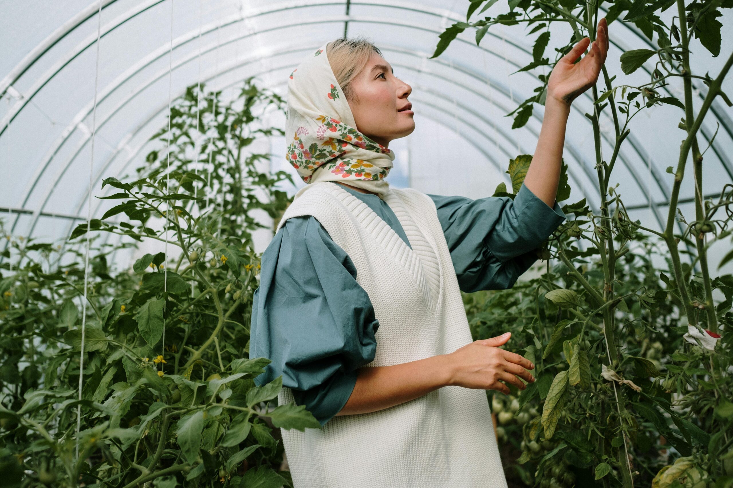 A woman checking on the leaves of a plant | Source: Pexels