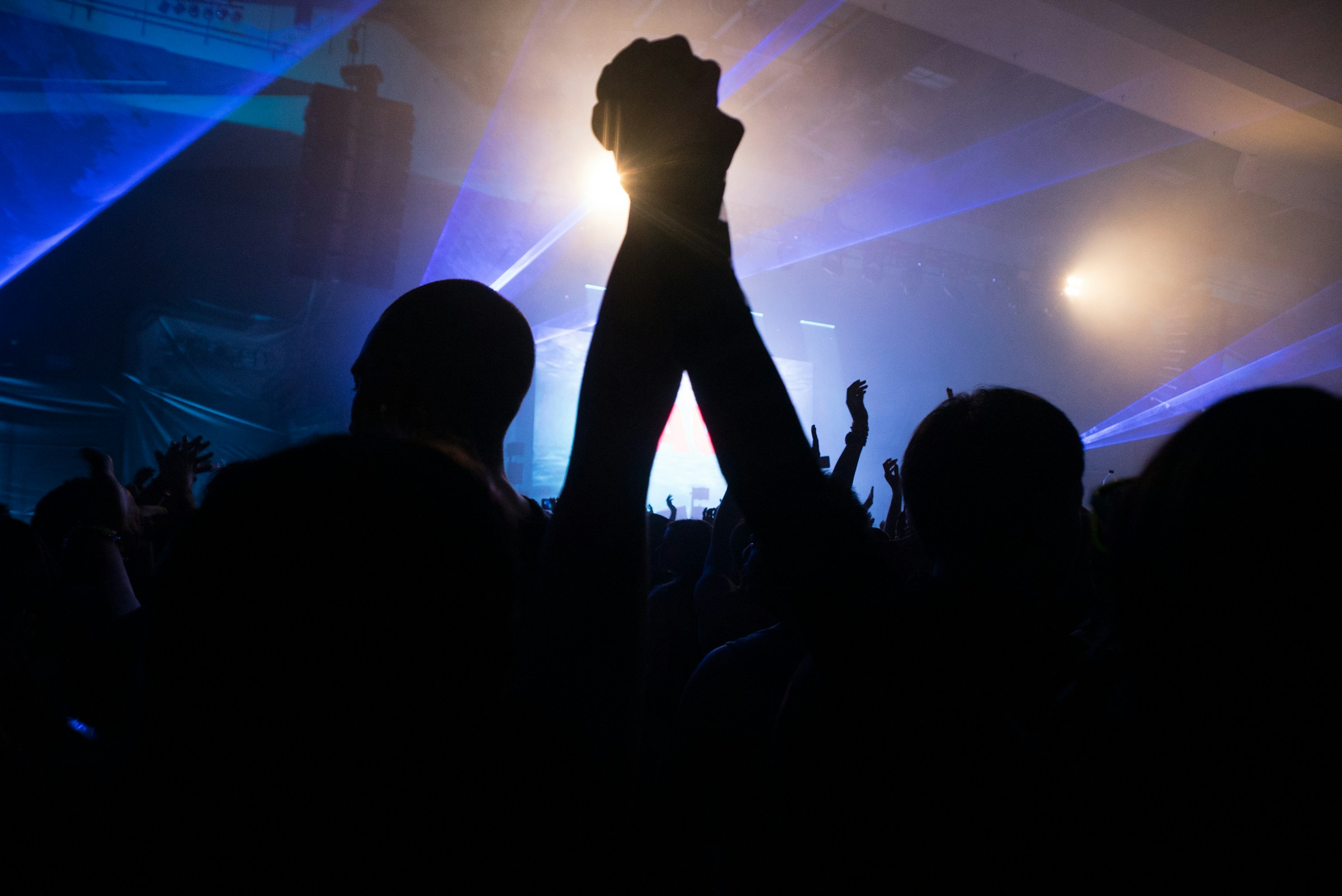 Crowd at a concert | Source: Unsplash