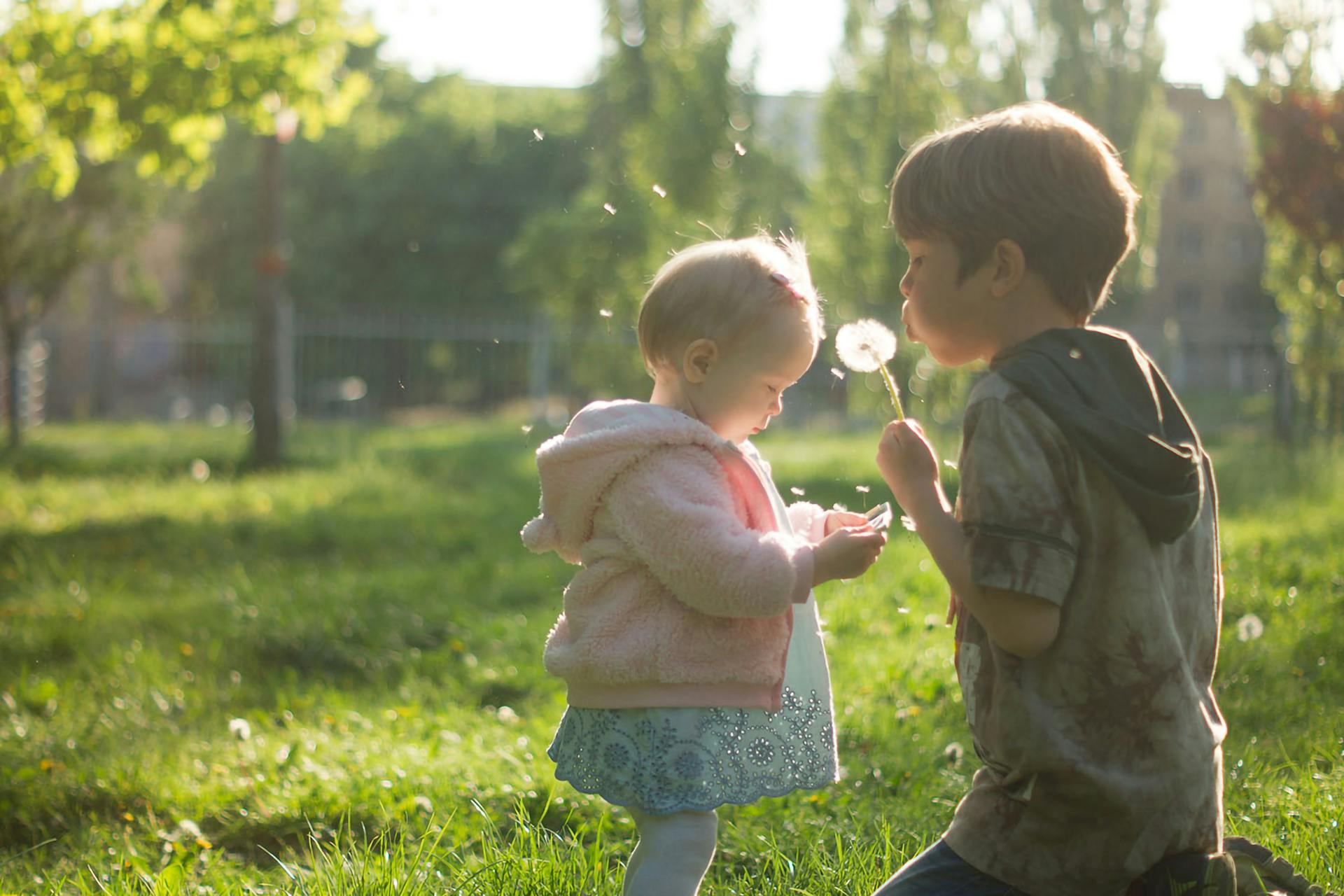 Little boy with younger sibling | Source: Pexels