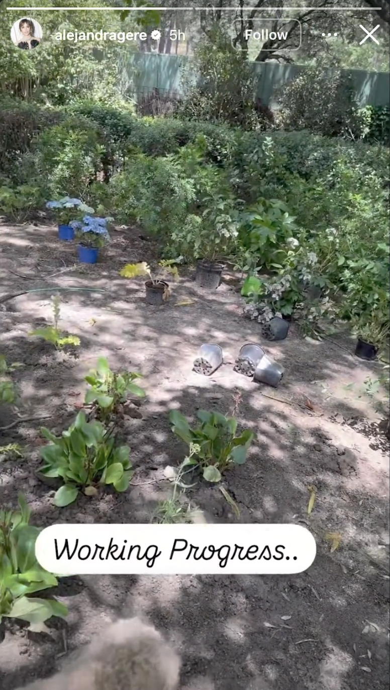 Alejandra Silva shared a look at ongoing work in the gardens surrounding the family's Spain home, where rows of potted flowers and shrubs awaited planting beneath mature trees.