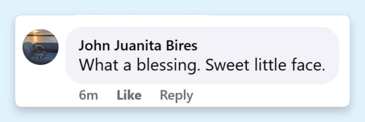 A netizen's comment about Karoline Leavitt's new post on May 7, 2026