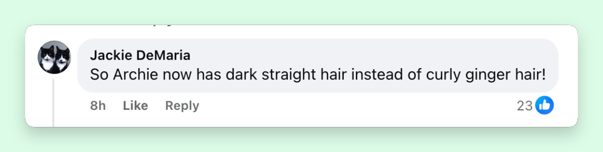 One viewer focused on Archie's appearance, commenting, "So Archie now has dark straight hair instead of curly ginger hair!" The remark echoed several other reactions questioning why the children looked different from earlier public images.