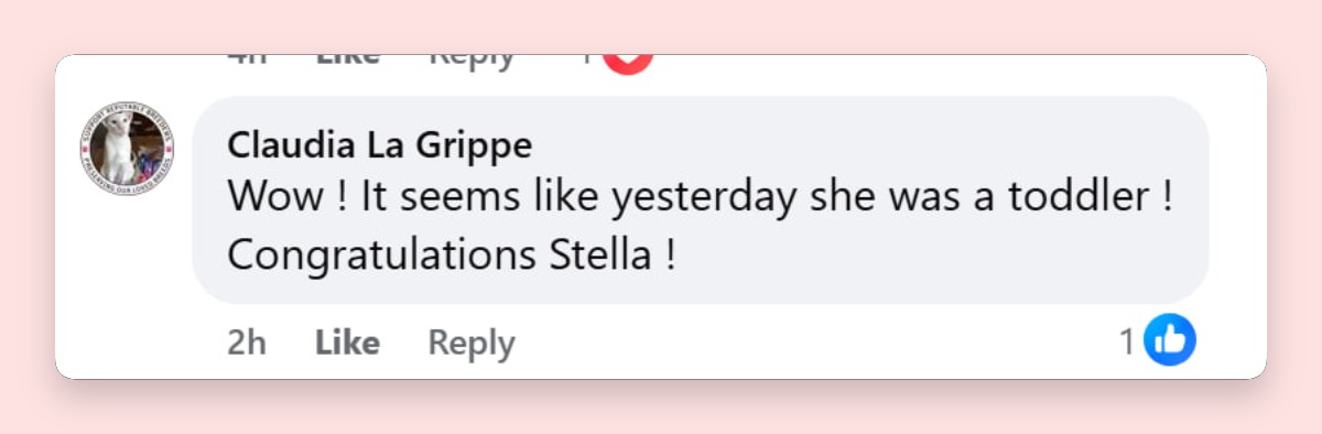 Amid the fashion-focused chatter, many fans kept the attention on Stella McDermott's milestone. One commenter captured the sentimental mood, writing, "Wow! It seems like yesterday she was a toddler! Congratulations Stella!"