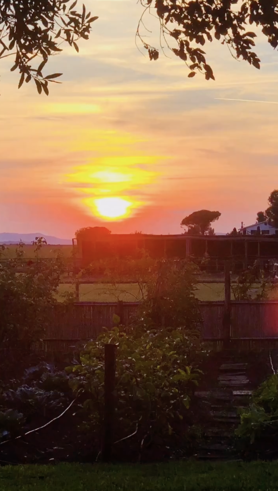 A sunset casts warm colors across the landscape surrounding the family's Spain home, highlighting the peaceful countryside setting beyond the property.