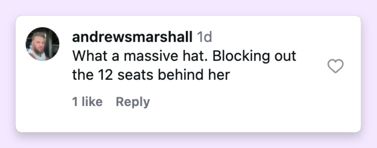Other commenters focused on how many people might have lost an unobstructed view. One joked that the oversized accessory affected an entire row of seats.