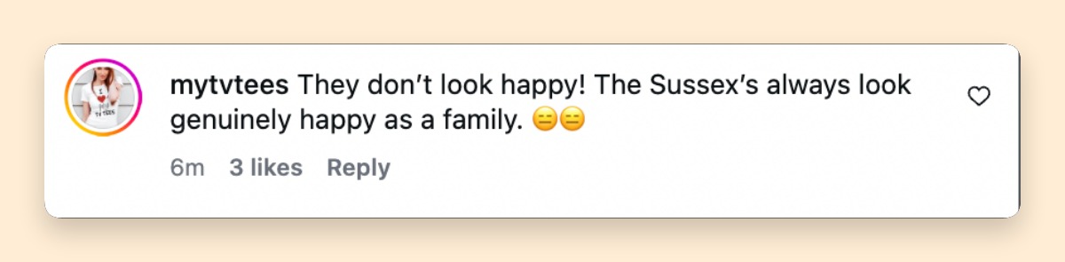 Netizens always draw their own conclusion. This screenshot shows a comment about Catherine, Princess Wales, and her children's apeparance at Trooping the Colour on June 13, 2026