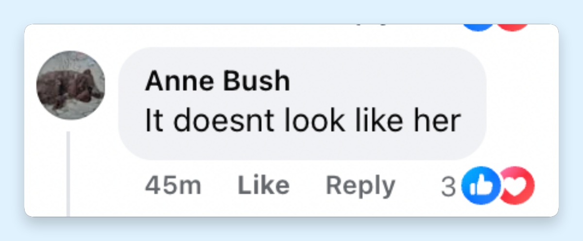 Sometimes, the internet sparks a debate. Here's another comment about Catherine, Princess Wales, and her children's apeparance at Trooping the Colour on June 13, 2026