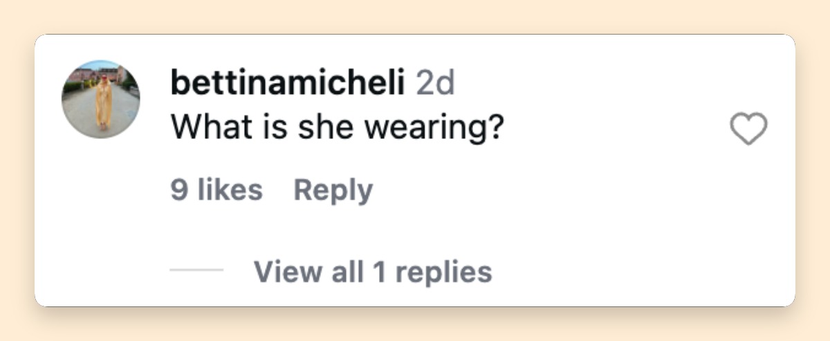 A social media comment added to the online discussion about a wedding guest's fashion choice.