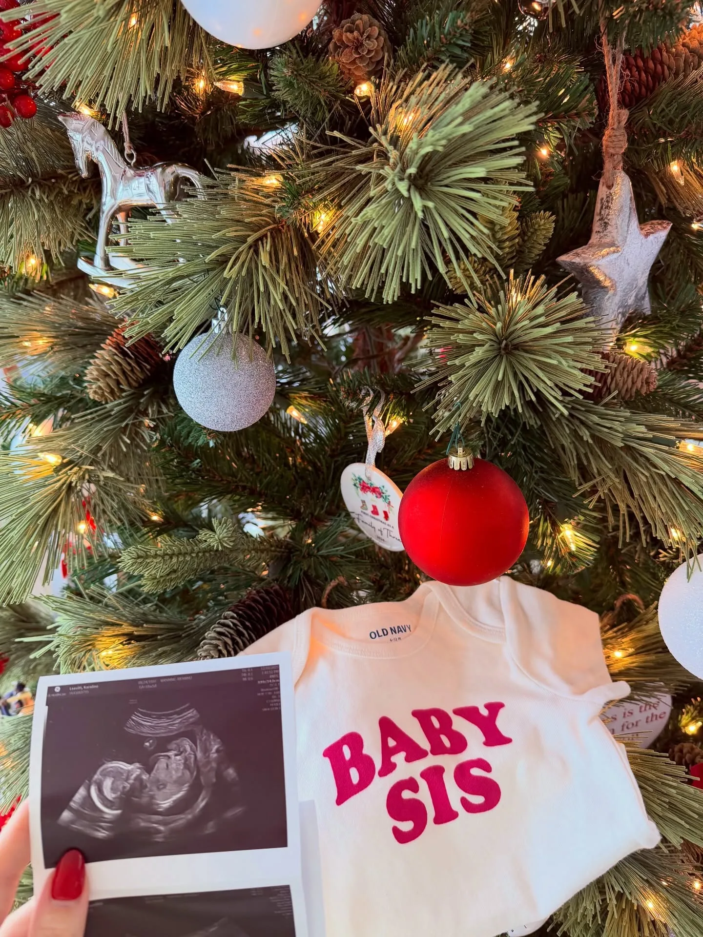One small detail turned the family Christmas tree into something much more personal: an ultrasound photo beside a tiny "BABY SIS" shirt. The holiday display quietly foreshadowed the family expansion that would later play a major role in Leavitt's decision to leave her White House job.