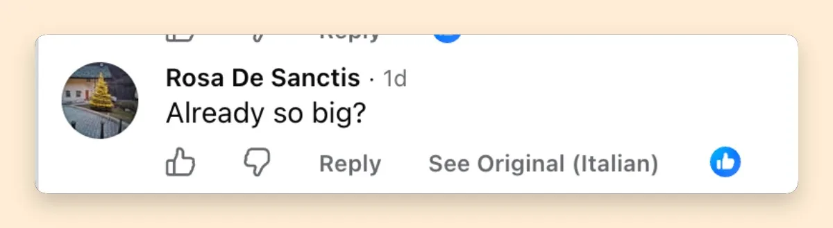 The rare sighting immediately had viewers marveling at just how much George and Amal Clooney's twins have grown. One commenter summed up the surprise simply: "Already so big?"
